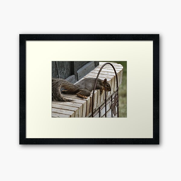 How Hot Is It? Framed Art Print