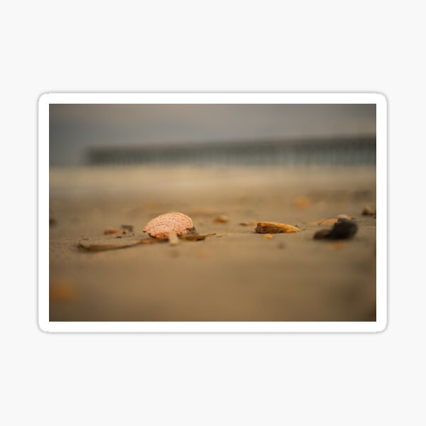 Item preview, Holy seashell designed and sold by KensLensDesigns.