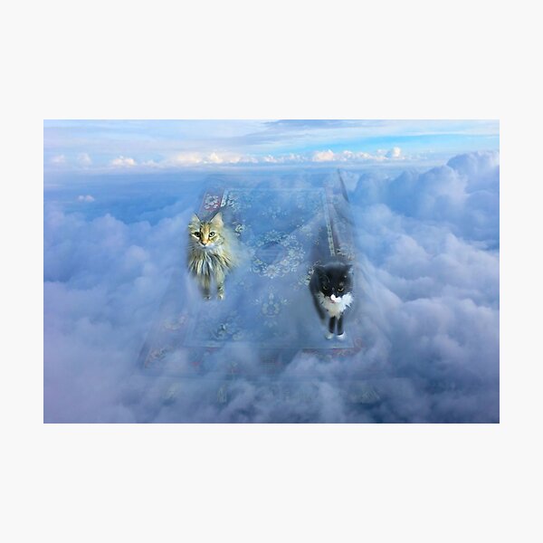 The Magic Carpet Ride Photographic Print