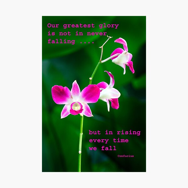 Nature Stands Tall Photographic Print