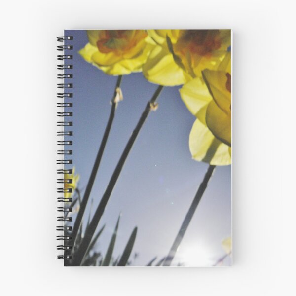 Item preview, Daffodils designed and sold by Judi Rustage.