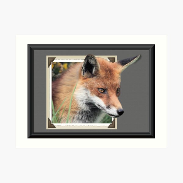 Framed Fox Art Print