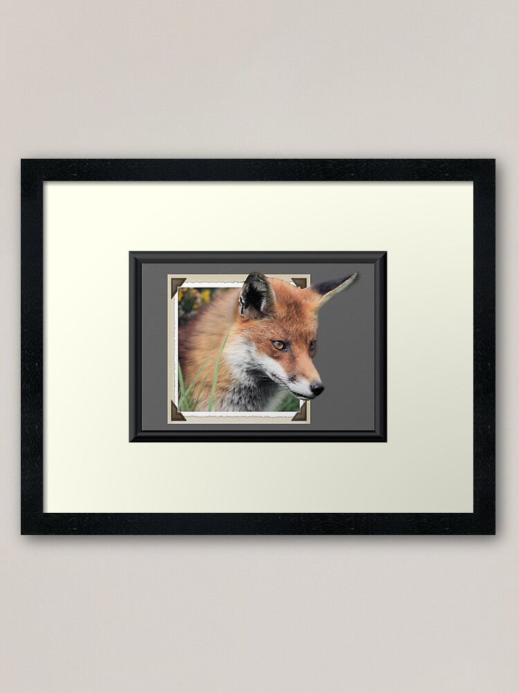 Alternate view of Framed Fox Framed Art Print