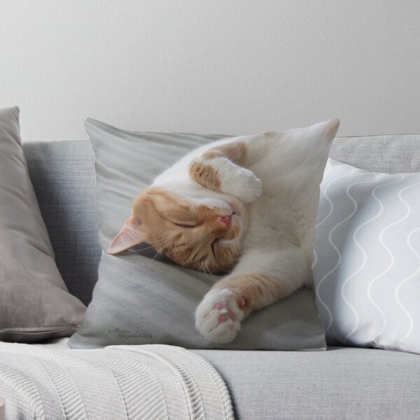 Item preview, Cute cat sleeping designed and sold by TranquilArt.