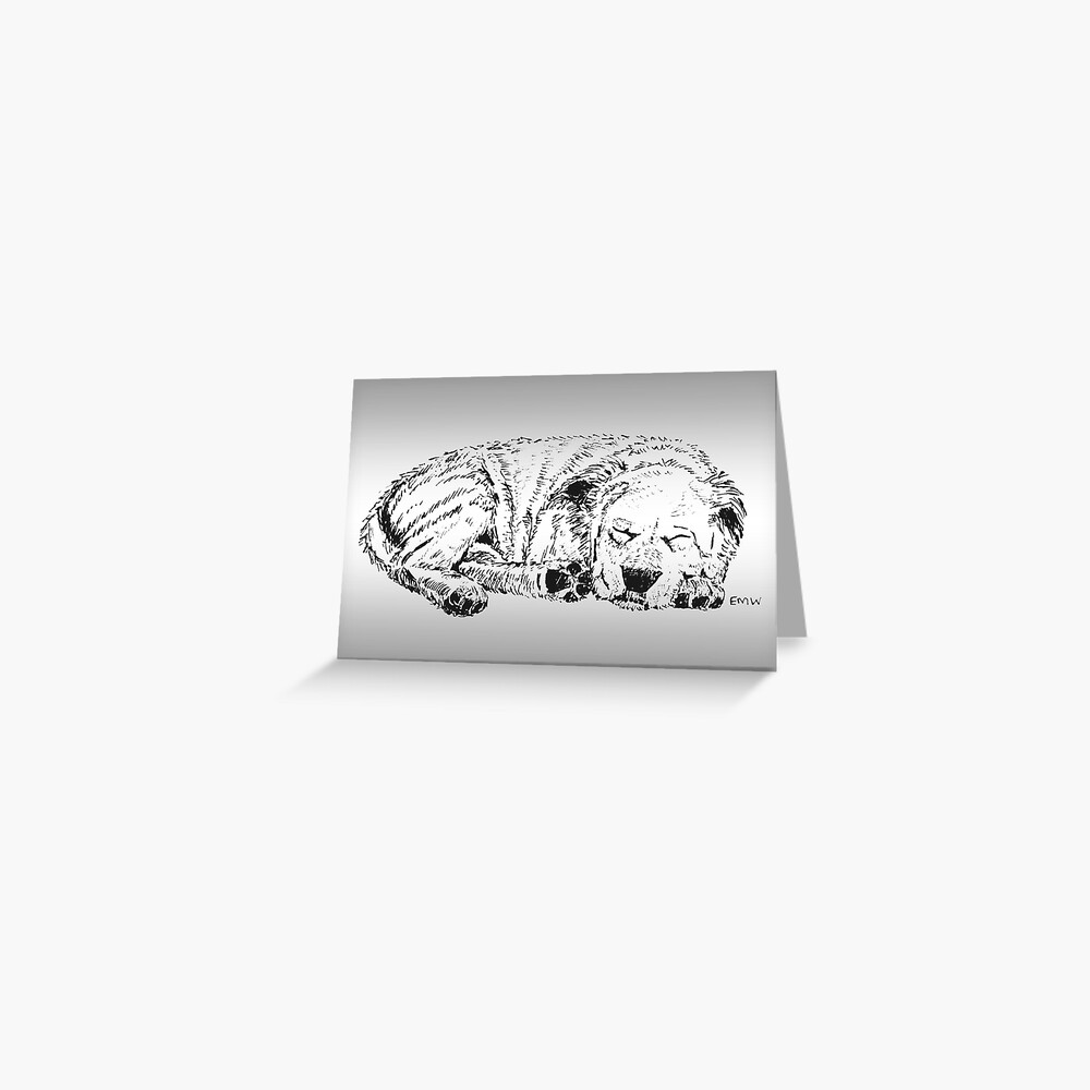 Let Sleeping Dogs Lie Greeting Card (Blank) Greeting Card