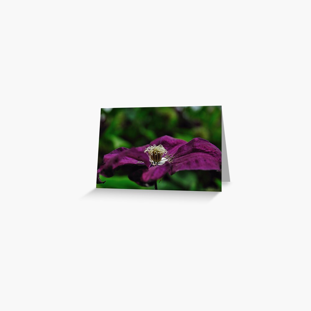 Item preview, Greeting Card designed and sold by pauleden.
