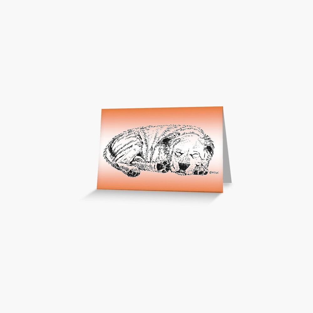 Let Sleeping Dogs Lie Greeting Card (Blank) Greeting Card