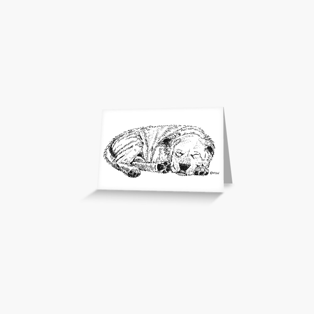 Let Sleeping Dogs Lie Greeting Card (Blank) Greeting Card