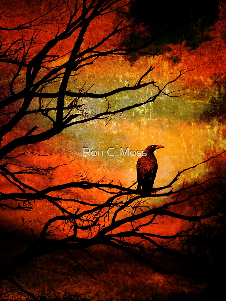 Thumbnail 7 of 7, Oversized T-Shirt, Basho's Crow designed and sold by ronmoss.