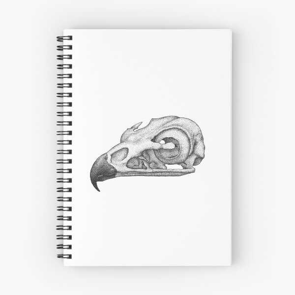 Item preview, Redtailed Hawk Skull designed and sold by laurenicole-art.