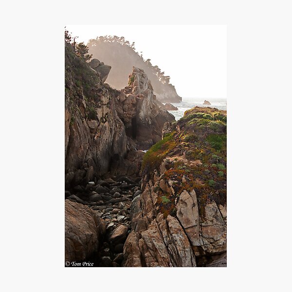 Item preview, Misty Rocks at Point Lobos designed and sold by hawkeye978.