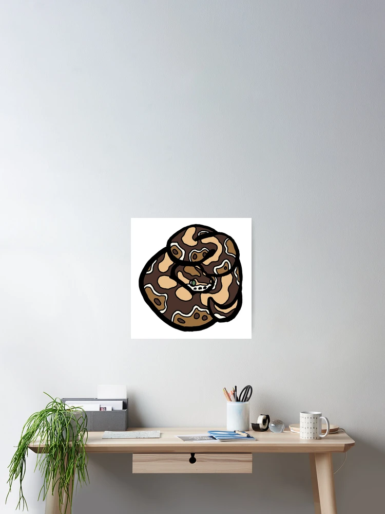 Thumbnail 2 von 3, Poster, Bold Ball Python - Normal designt und verkauft von Morgan Carpenter.