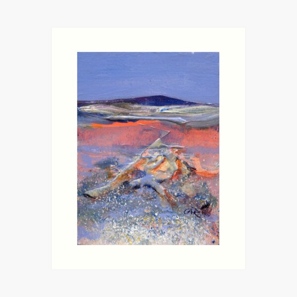 Shadows of Pink- Lake King,Western Australia Art Print