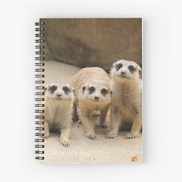 Item preview, Our Cuteness Comes In A Package Deal, 3 For 1! designed and sold by LeanneAllen.