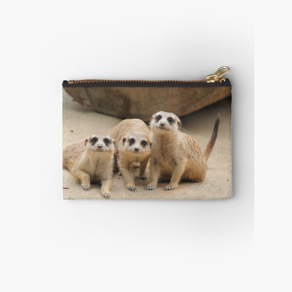 Item preview, Our Cuteness Comes In A Package Deal, 3 For 1! designed and sold by LeanneAllen.