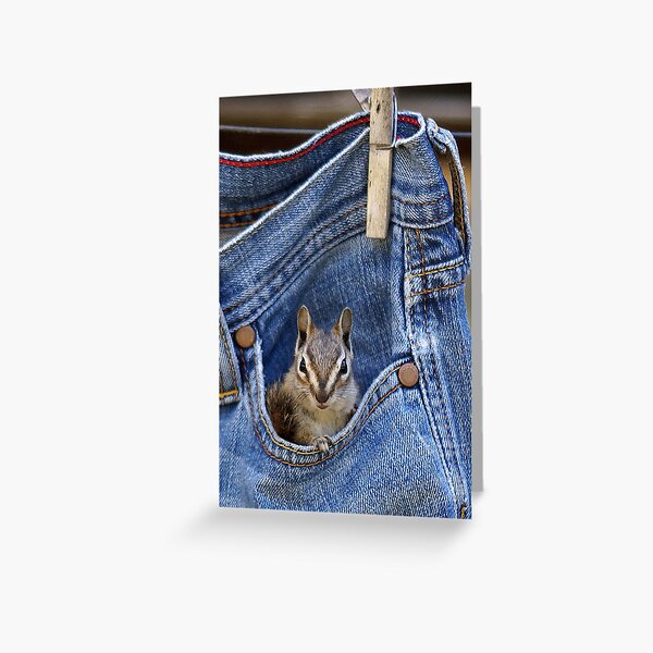 Pocket Full of Delight Greeting Card