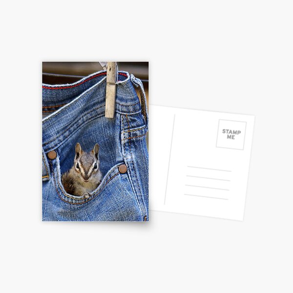 Pocket Full of Delight Postcard