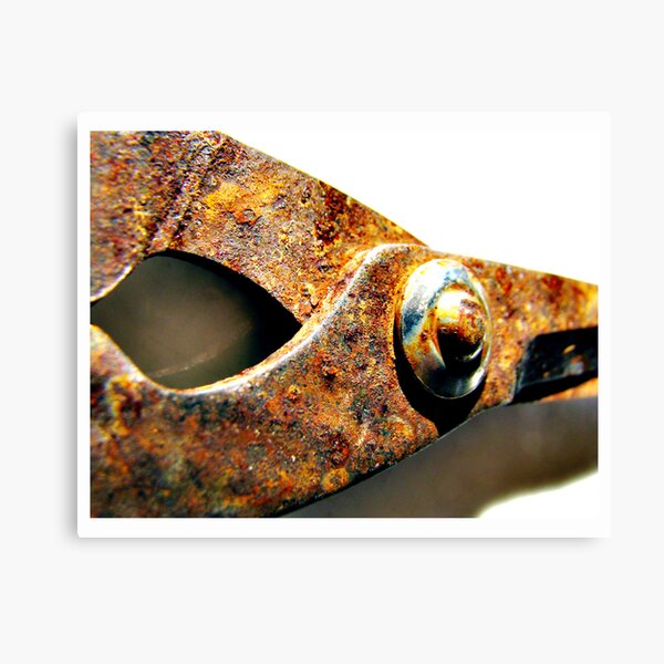 Aperçu de l'œuvre rusted blades créée et vendue par vampvamp.