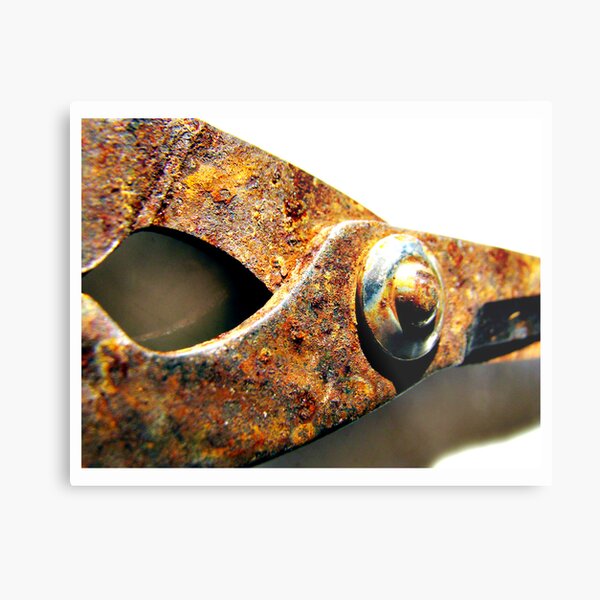 Aperçu de l'œuvre rusted blades créée et vendue par vampvamp.