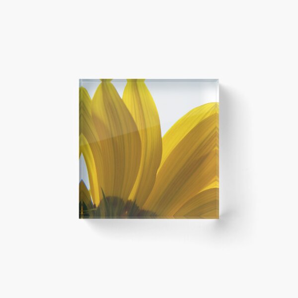Item preview, Yellow Daisy Light designed and sold by coribeth.