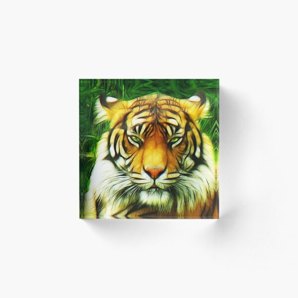 Tiger is Not Amused Acrylic Block