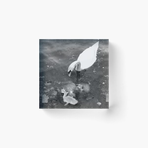 Item preview, A Quiet Backwater designed and sold by Farawayjoe.
