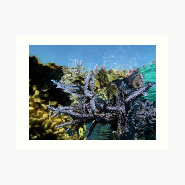 Reef Tripping Art Print