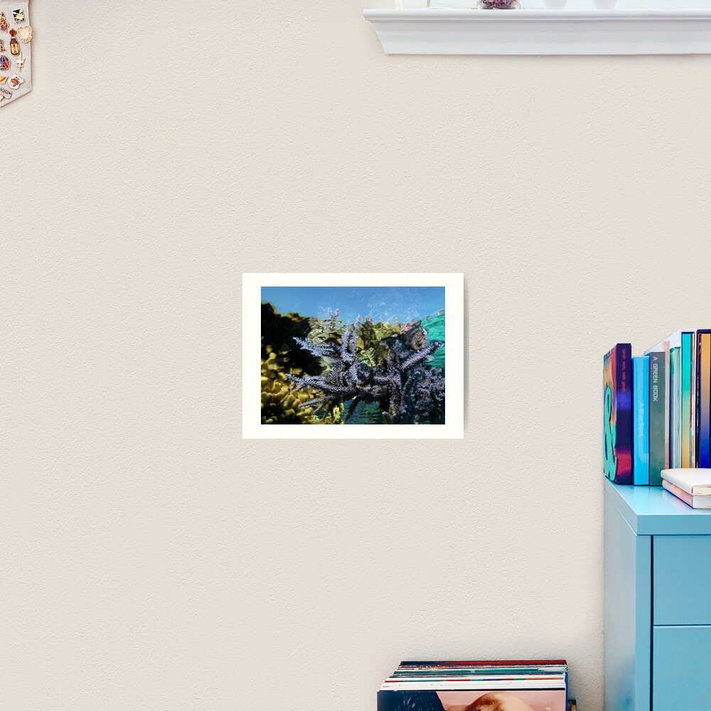Reef Tripping Art Print