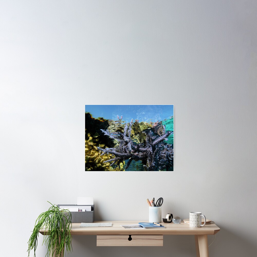 Reef Tripping Poster
