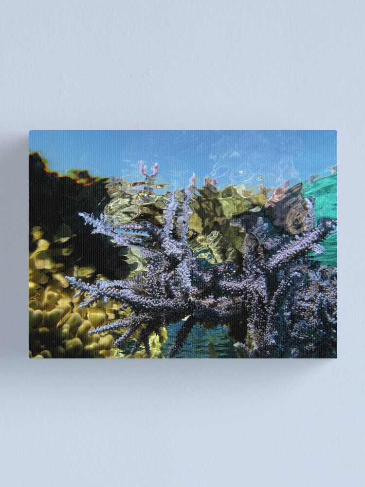 Alternate view of Reef Tripping Canvas Print