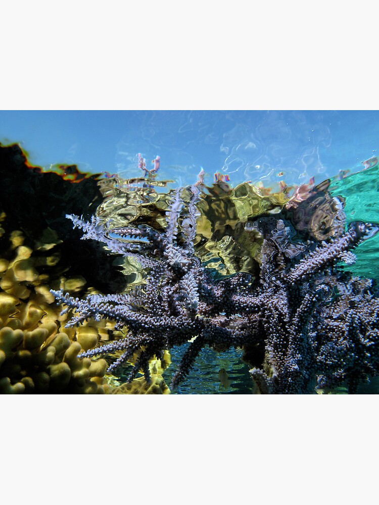 Reef Tripping by neoniphon