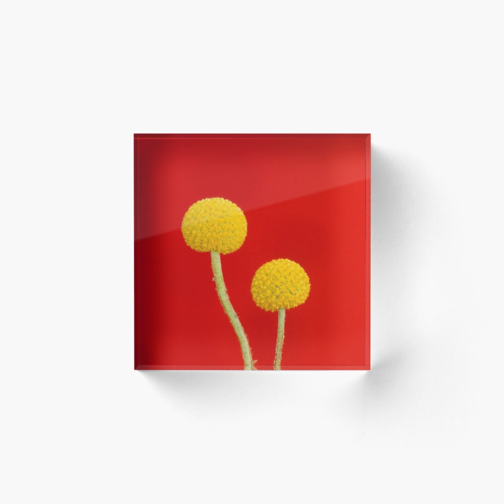 Item preview, Acrylic Block designed and sold by MLavelle.