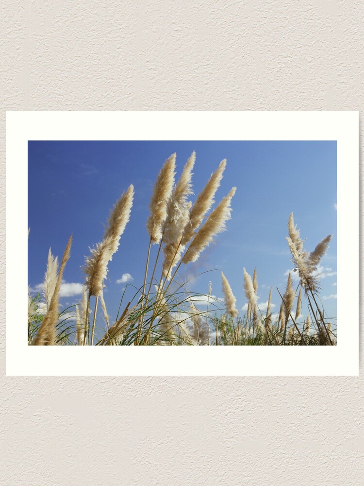Download Art costanera For iPhone