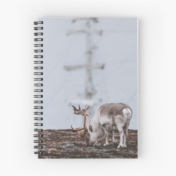 Item preview, Reindeer on Svalbard with Sailboat in the Background designed and sold by Visual-Memories.