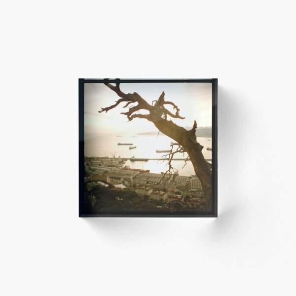 Item preview, árbol sobre gibraltar designed and sold by lucie richter.
