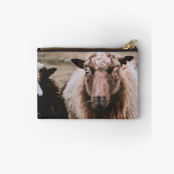 Item preview, Curious Faroese Sheep designed and sold by Visual-Memories.