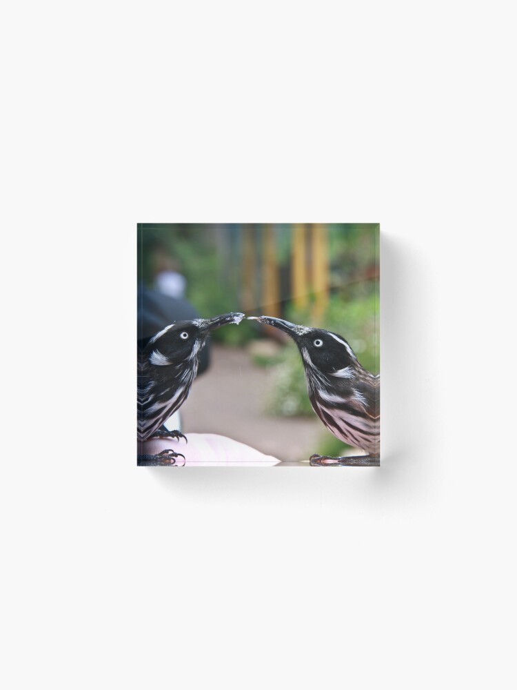 Thumbnail 2 of 5, Acrylic Block, Give me a kiss designed and sold by Andreas Koepke.