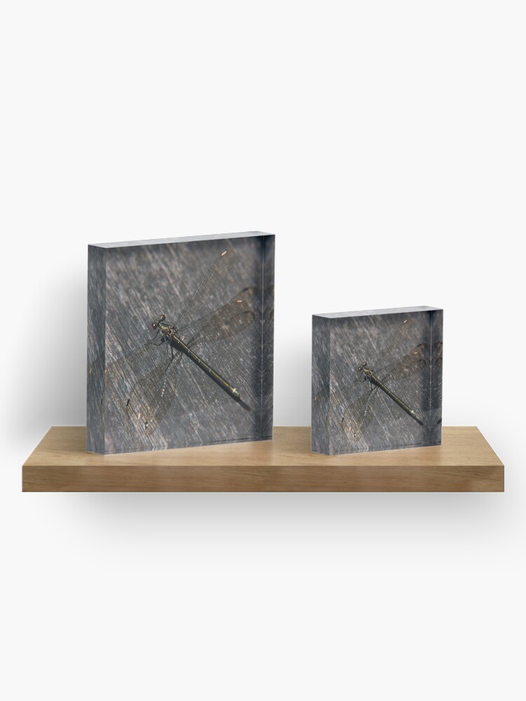 Alternate view of Dragonfly Acrylic Block