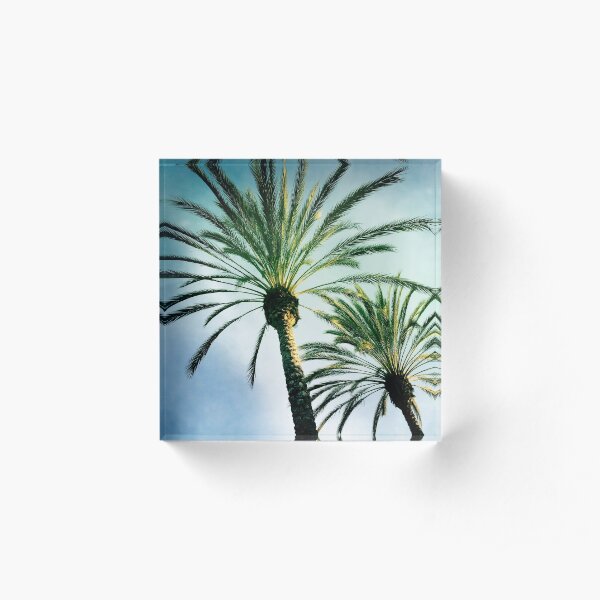 Two Palms Acrylic Block