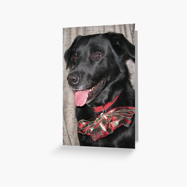 The Old Yule Dog Greeting Card
