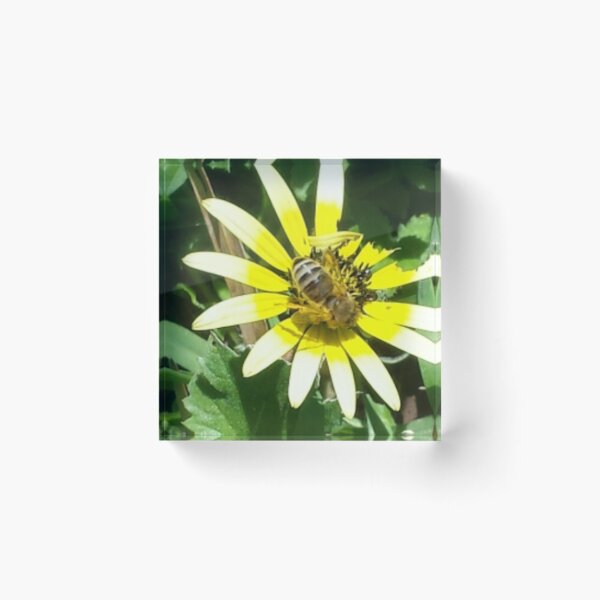 Item preview, buzzy bee designed and sold by sketchedbyem.
