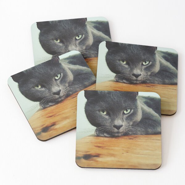 Item preview, Russian Blue cat designed and sold by Anne Staub.