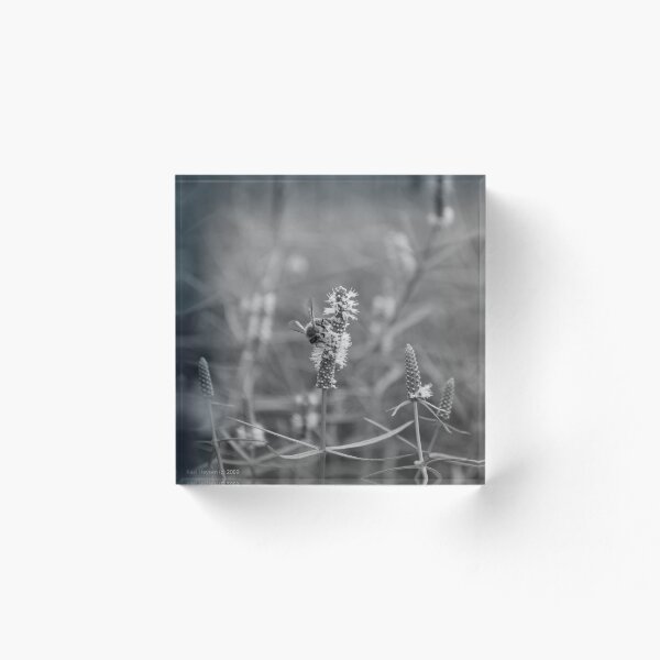 Item preview, A Bee - BW designed and sold by kael.