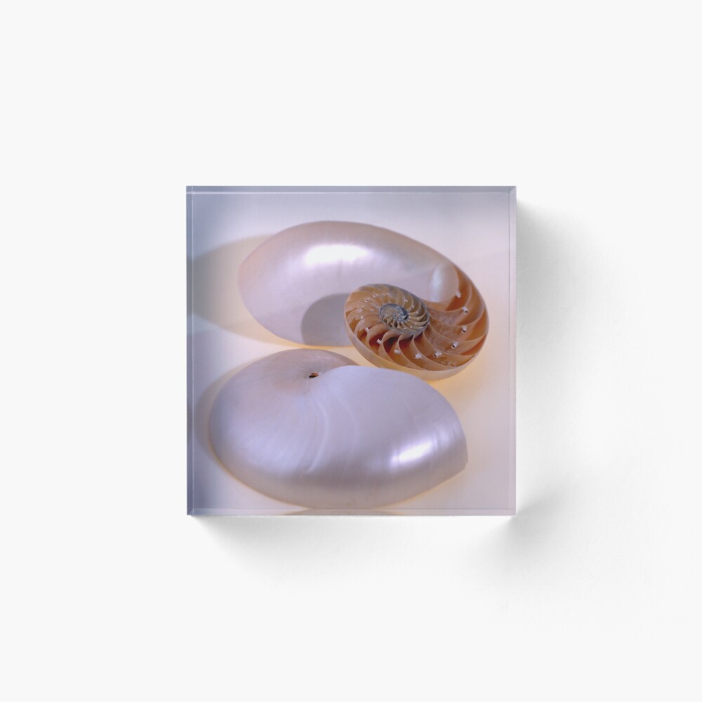 Item preview, Acrylic Block designed and sold by roim.