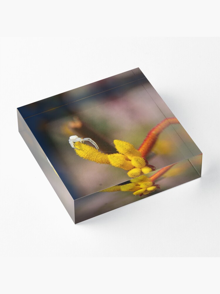 Alternate view of Incy wincy spider Acrylic Block