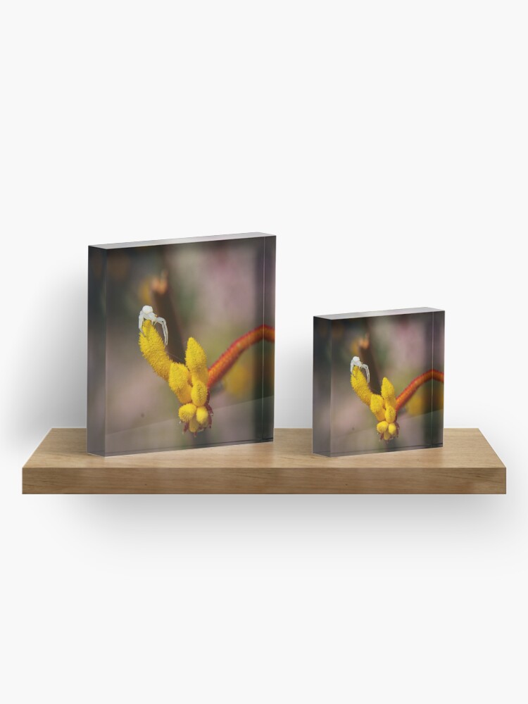 Alternate view of Incy wincy spider Acrylic Block