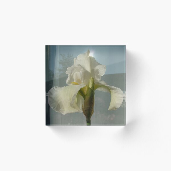 Item preview, White Bearded Iris  designed and sold by Emerald-Cat.