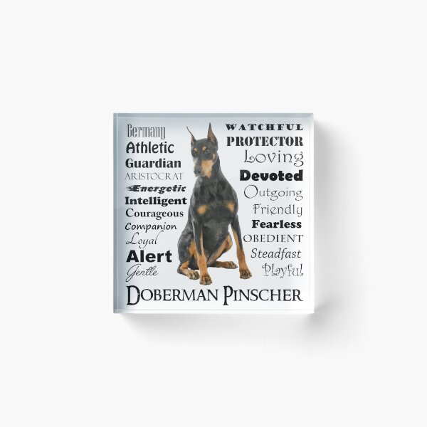 Item preview, Black and Tan Doberman Traits designed and sold by DogLove.