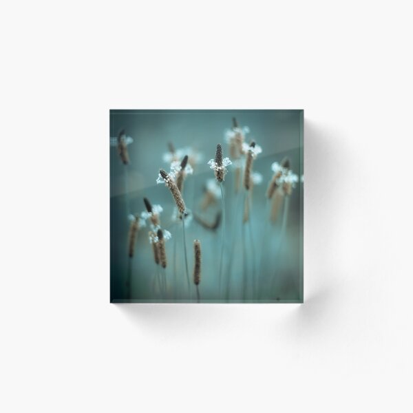 ...sparklers... Acrylic Block
