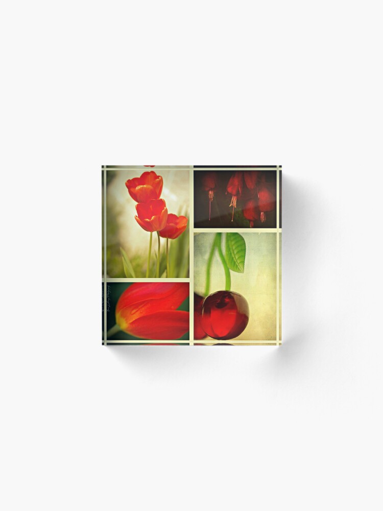 Alternate view of Nature in Red Acrylic Block